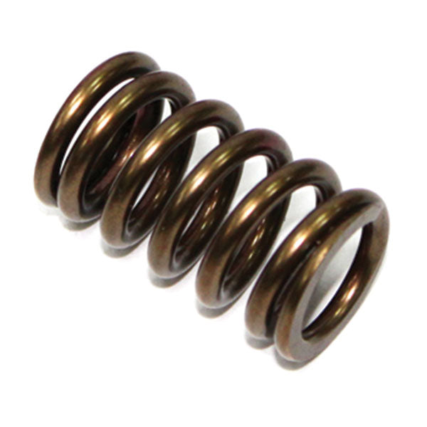 Psychic Exhaust Valve Spring (Xu-09528Es) | MunroPowersports.com