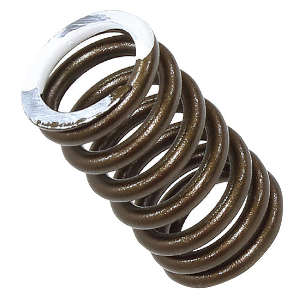 Psychic Exhaust Valve Spring (Xu-09560Es) | MunroPowersports.com