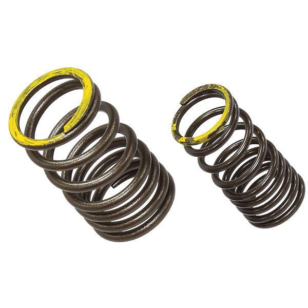 Psychic Exhaust Valve Spring (Xu-09563Es) | MunroPowersports.com