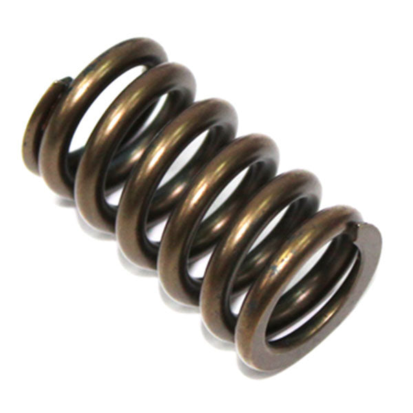 Psychic Intake Valve Spring (Xu-09528Is) | MunroPowersports.com