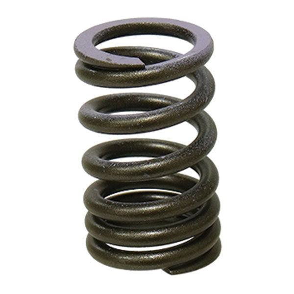 Psychic Intake Valve Spring (Xu-09552Is) | MunroPowersports.com