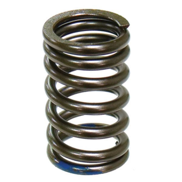 Psychic Intake Valve Spring (Xu-09540Is) | MunroPowersports.com