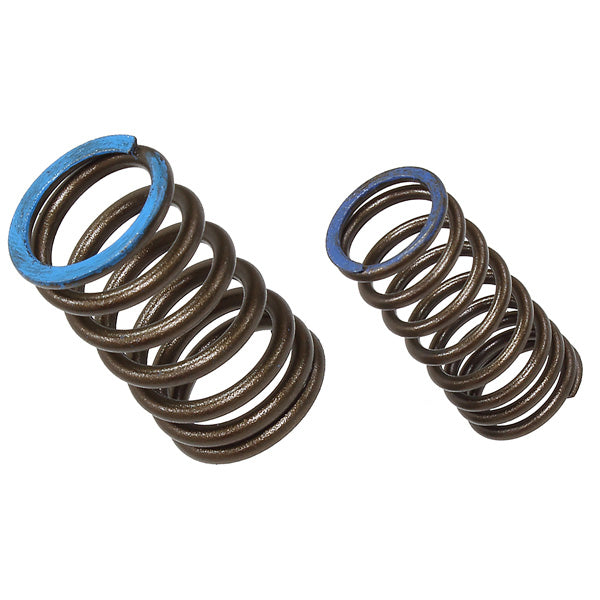 Psychic Intake Valve Spring (Xu-09563Is) | MunroPowersports.com