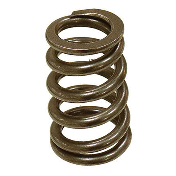Psychic Exhaust Valve Spring (Xu-09550Es) | MunroPowersports.com