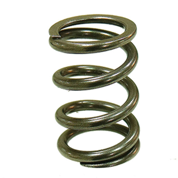 Psychic Exhaust Valve Spring (Xu-09551Es) | MunroPowersports.com