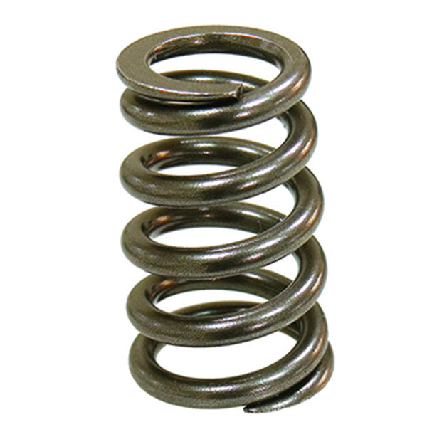 Psychic Intake Valve Spring (Xu-09550Is) | MunroPowersports.com