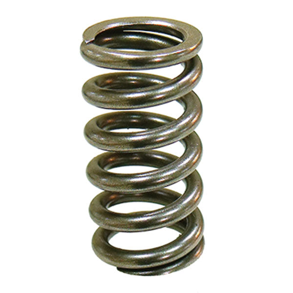Psychic Intake Valve Spring (Xu-09551Is) | MunroPowersports.com
