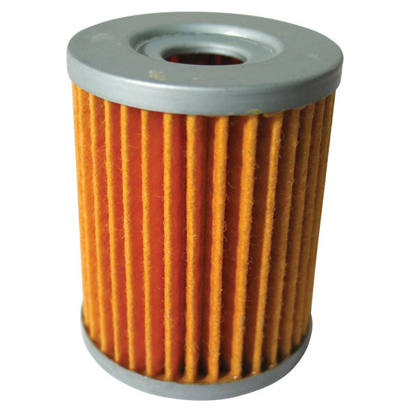 FRAM OIL FILTER (CH6066)