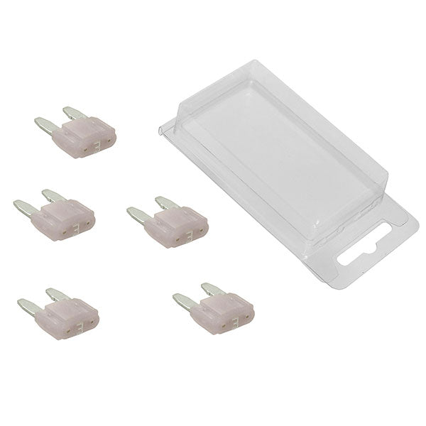 SPX Mini Intelligent Fuses 5Pk | MunroPowersports.com