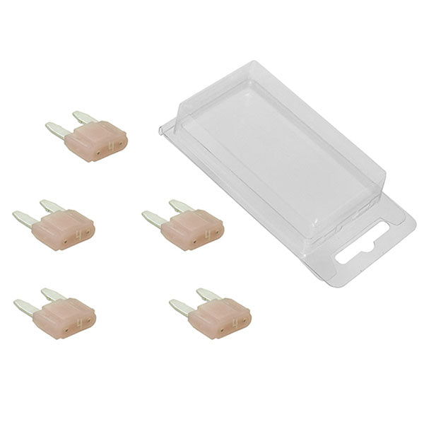 SPX Mini Intelligent Fuses 5Pk | MunroPowersports.com