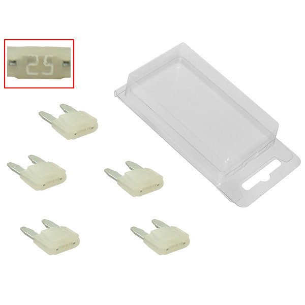 SPX Mini Intelligent Fuses 5Pk | MunroPowersports.com