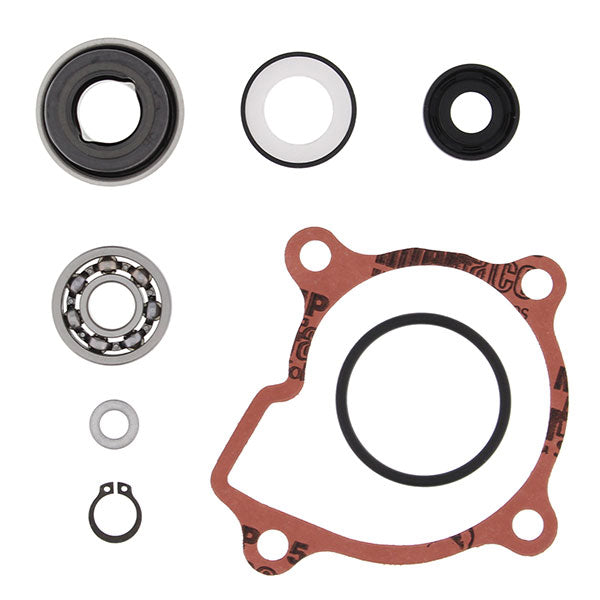 Vertex Water Pump Rebuild Kit (821865) | MunroPowersports.com