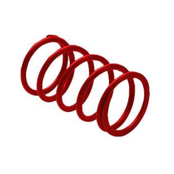 EPI Secondardy Driven Clutch Spring | MunroPowersports.com