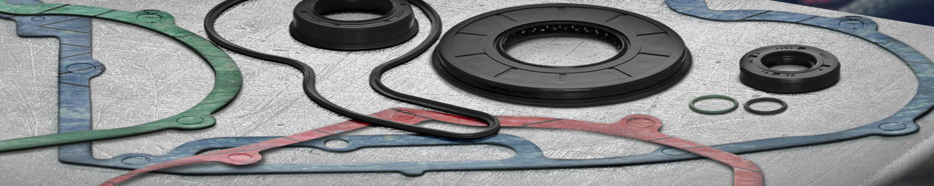 Engine Gaskets & Seals | MunroPowersports.com | Munro Industries mp-100803080710