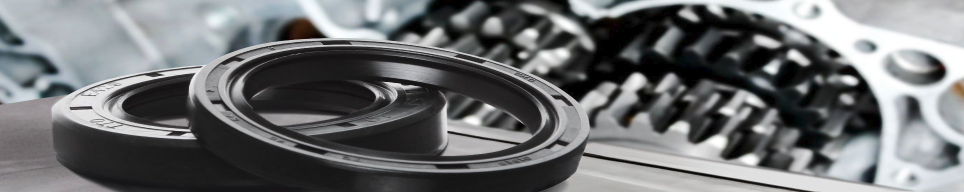 Transmission Gaskets, Seals & Bushings | MunroPowersports.com | Munro Industries mp-100803080520