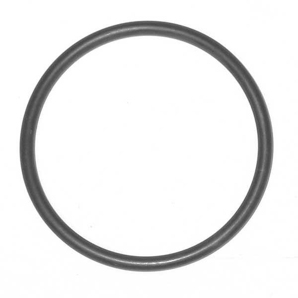 BODY CAP O-RING                (029-00-129-A)