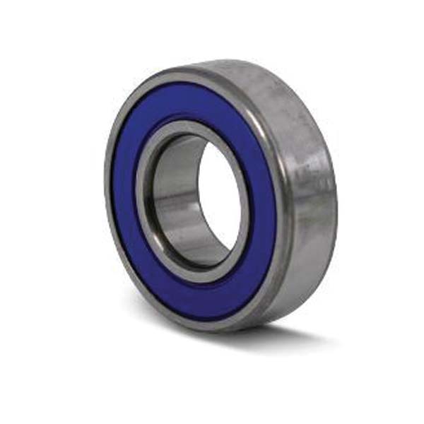 NTN Suspension & Chain Case Bearing Ea Of 10 (FORMULA6004-1B) | MunroPowersports.com