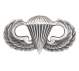 Rothco Parawing Pin - 1544 | MunroPowersports.com