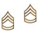 Rothco Sergeant First Class Polished Insignia Pin - 1645 | MunroPowersports.com