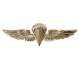 Rothco USN-USMC Parawing Pin - 1652 | MunroPowersports.com