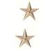 Rothco Brigadier General Insignia Stars - 1716 | MunroPowersports.com