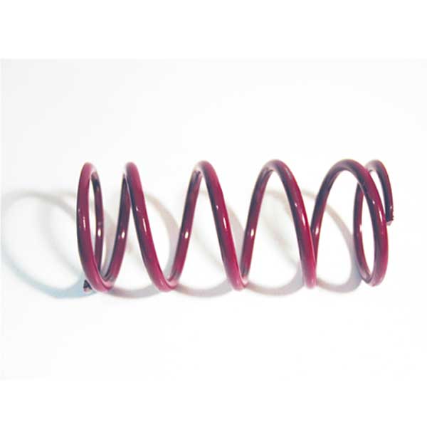 EPI Erlandson Performance Primary Drive Spring 250-1201 | MunroPowersports.com