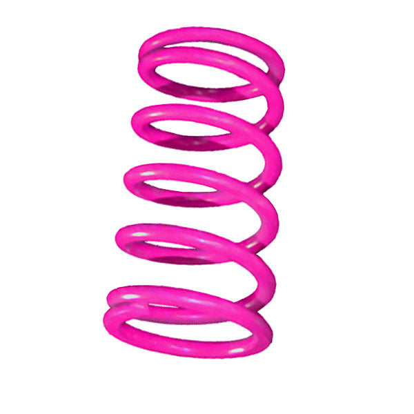 Straightline Performance Tra Primry Spring (121-224) | MunroPowersports.com