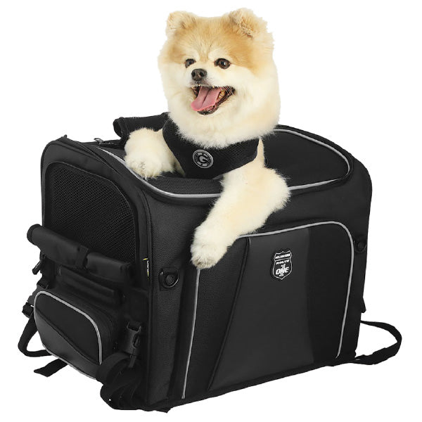 Nelson-Rigg Route 1 Rover Pet Carrier (NR-240) | MunroPowersports.com