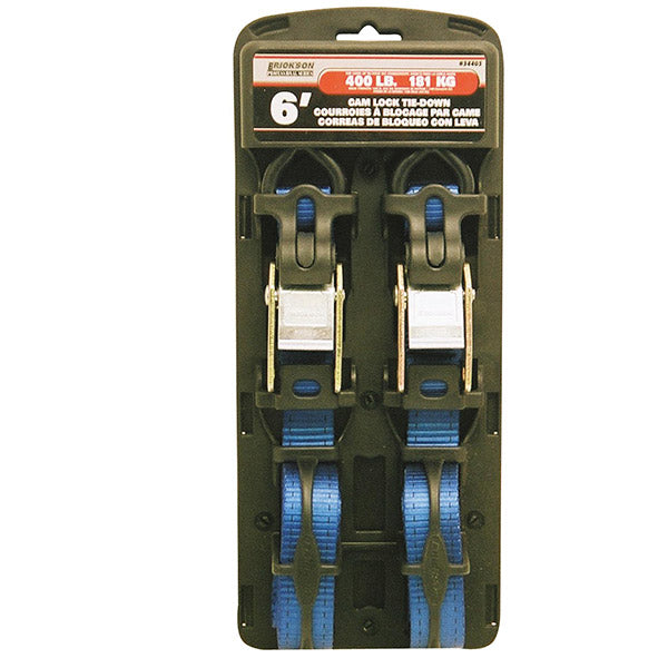 Erickson Professional Series Cam Lock Tie Down 2Pk 390-1302 | MunroPowersports.com