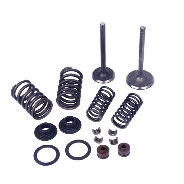 Mogo Parts Valve Kit, H-50CC (61-0200) | MunroPowersports.com