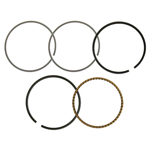 Namura Piston Ring (NA-40019R) | MunroPowersports.com