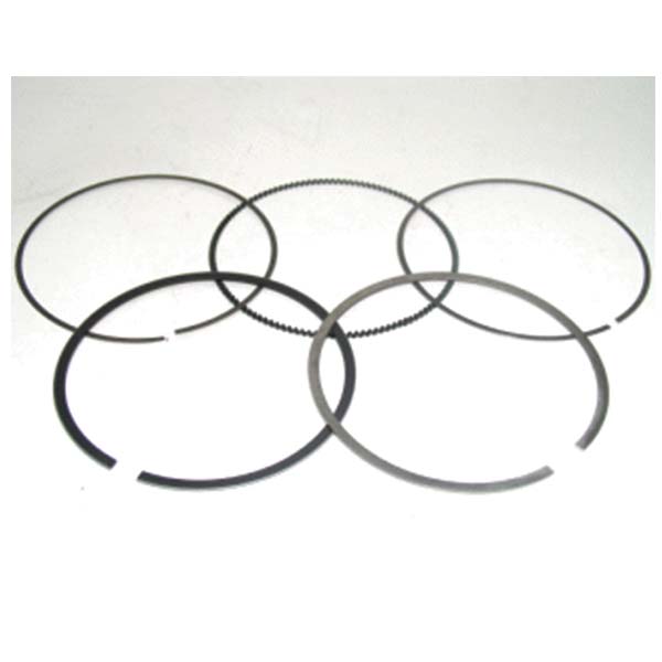 Namura Piston Ring (NA-10009R) | MunroPowersports.com