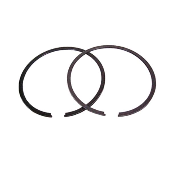 SPX Replacement Piston Ring (09-731R) | MunroPowersports.com