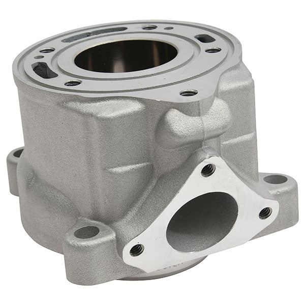 Cylinder Works Standard Bore Cylinder (Cw50012) | MunroPowersports.com