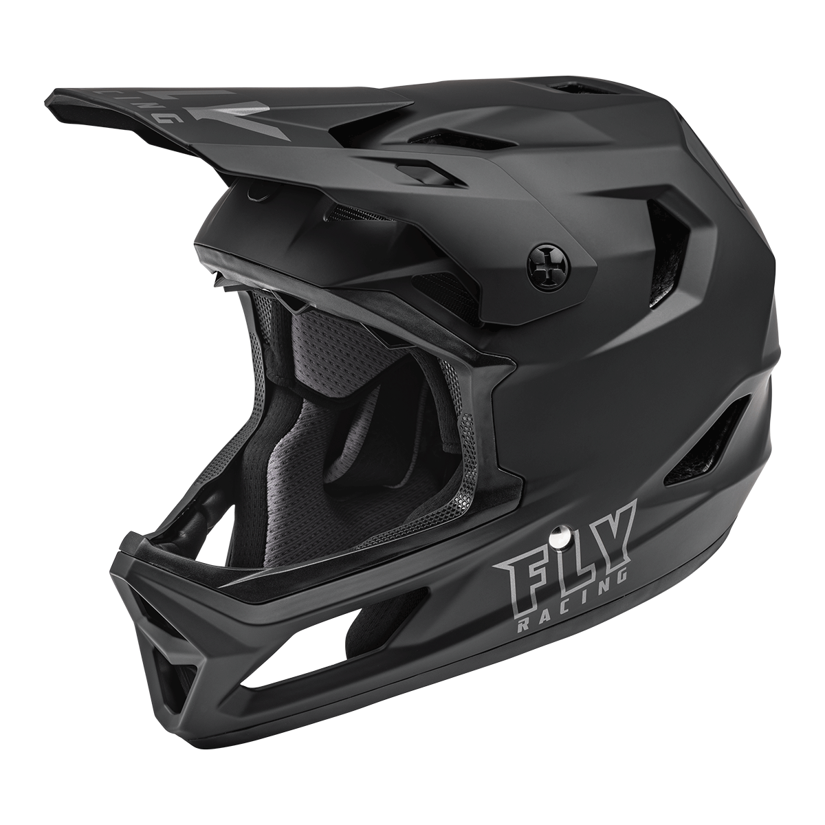 FLY Racing Rayce Mountain Bike Helmet 73-3608L
