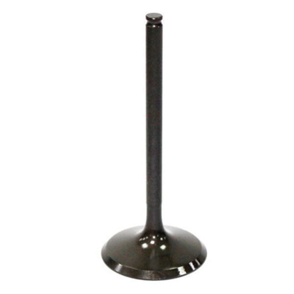 Psychic Intake Valve (Xu-09519I) | MunroPowersports.com