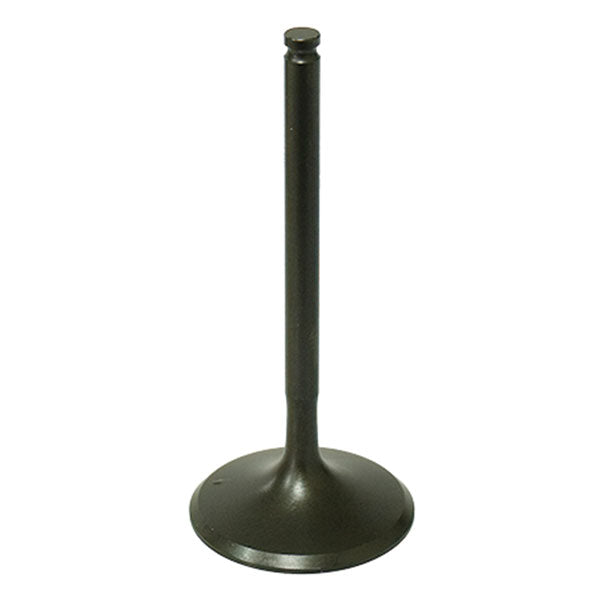 Psychic Intake Valve (Xu-09554I) | MunroPowersports.com
