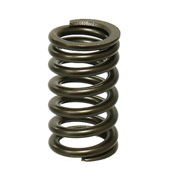 Psychic Intake Valve Spring (Xu-09553Is) | MunroPowersports.com