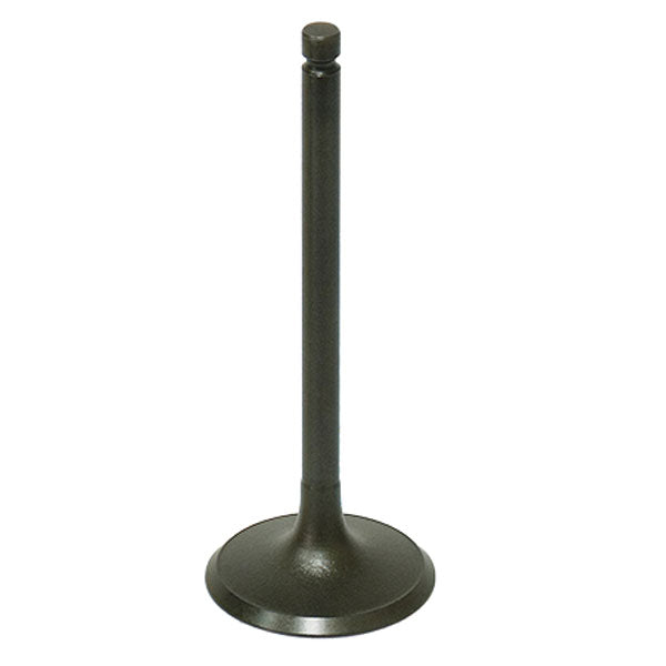 Bronco Atv/Utv Intake Valve (Au-09191I) | MunroPowersports.com