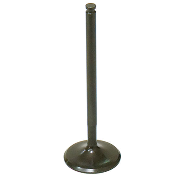 Psychic Intake Valve (Xu-09545I) | MunroPowersports.com