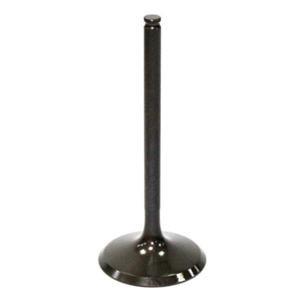 Psychic Intake Valve (Xu-09533I) | MunroPowersports.com