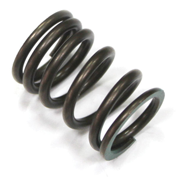 Psychic Intake Valve Spring (Xu-09536Is) | MunroPowersports.com