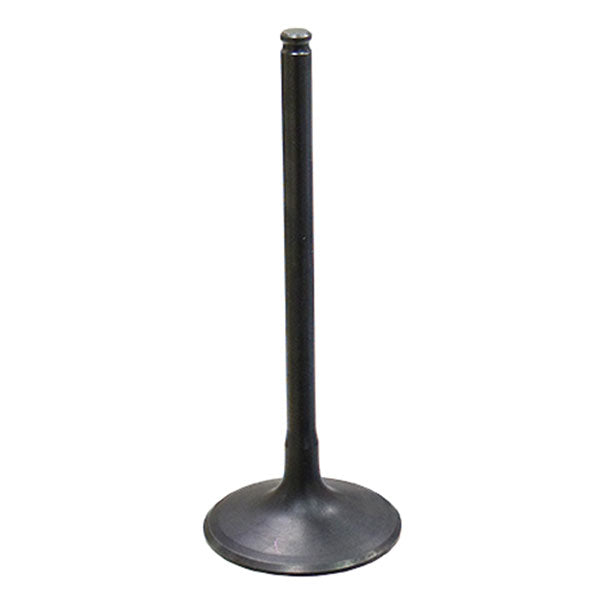Psychic Intake Valve (Xu-09552I) | MunroPowersports.com
