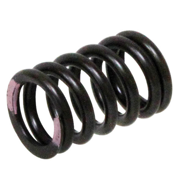 Psychic Intake Valve Spring (Xu-09539Is) | MunroPowersports.com