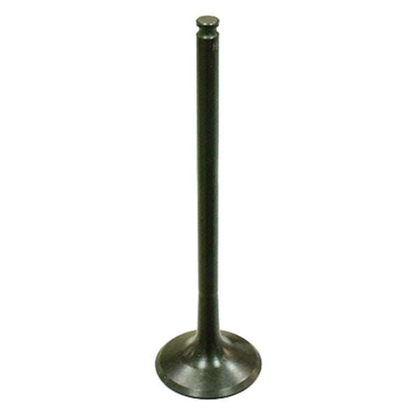 Psychic Exhaust Valve (Xu-09550E) | MunroPowersports.com