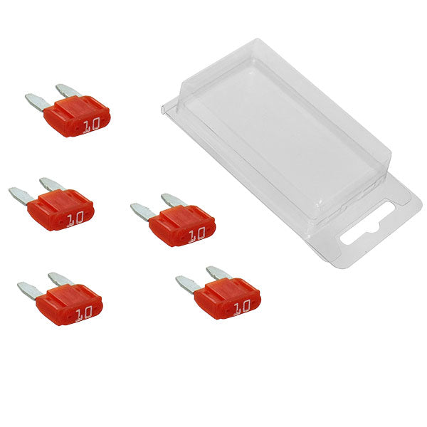 SPX Mini Intelligent Fuses 5Pk | MunroPowersports.com