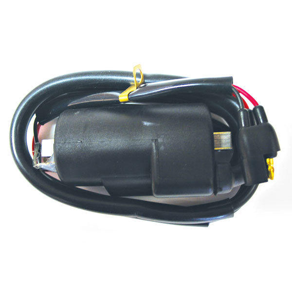 SPX Ignition Coil (01-143-19) | MunroPowersports.com