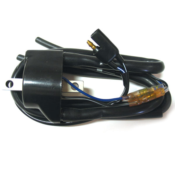 SPX Ignition Coil (01-143-120) | MunroPowersports.com