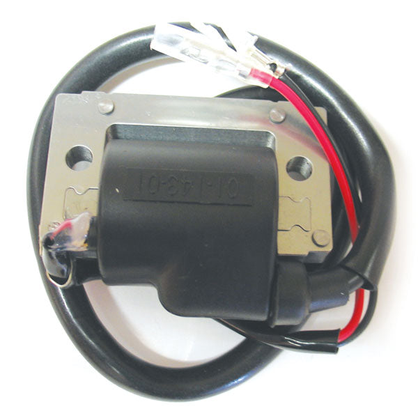 SPX Ignition Coil (01-143-01) | MunroPowersports.com