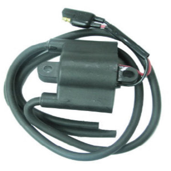 SPX Ignition Coil (01-143-53) | MunroPowersports.com
